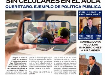 Distrito Querétaro No 6