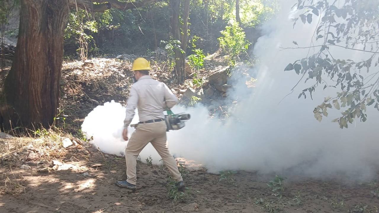 Refuerza SESA acciones de vigilancia epidemiológica contra el dengue