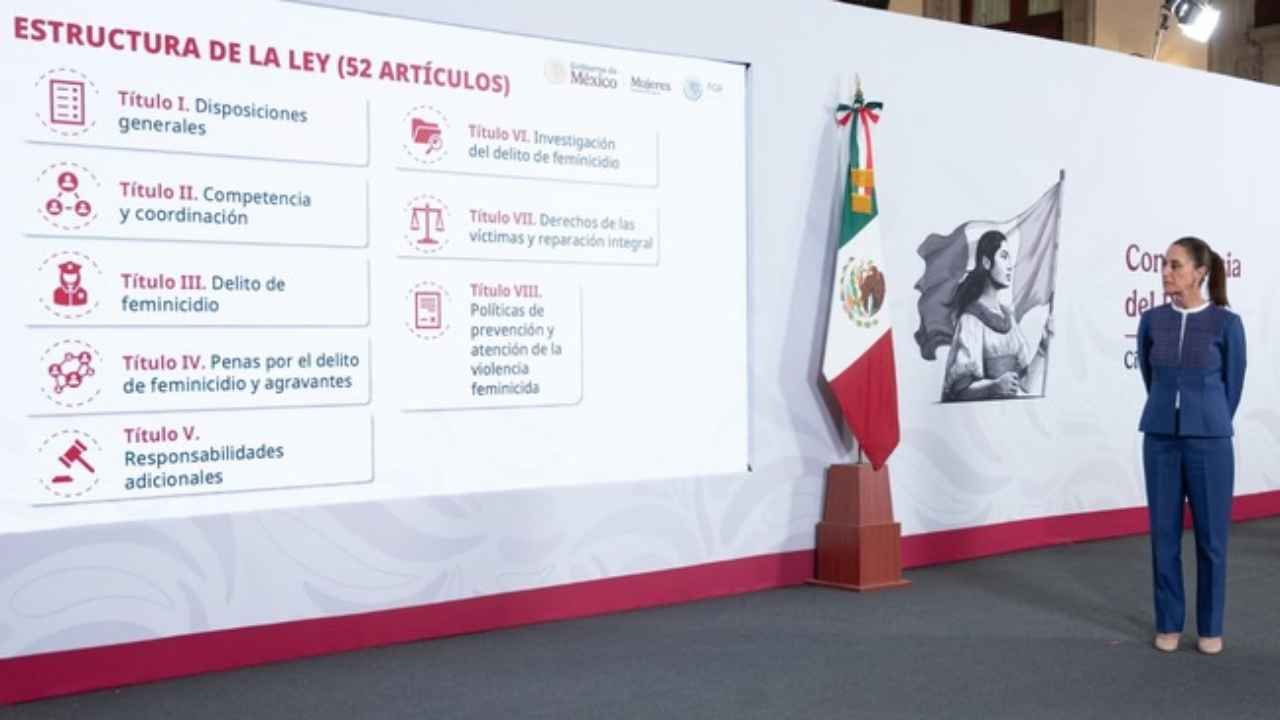 Presidenta enviará al Senado iniciativa de Ley General para prevenir, investigar, sancionar y reparar el daño por el delito de feminicidio